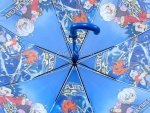 Зонт детский Umbrellas, арт.160-4_product